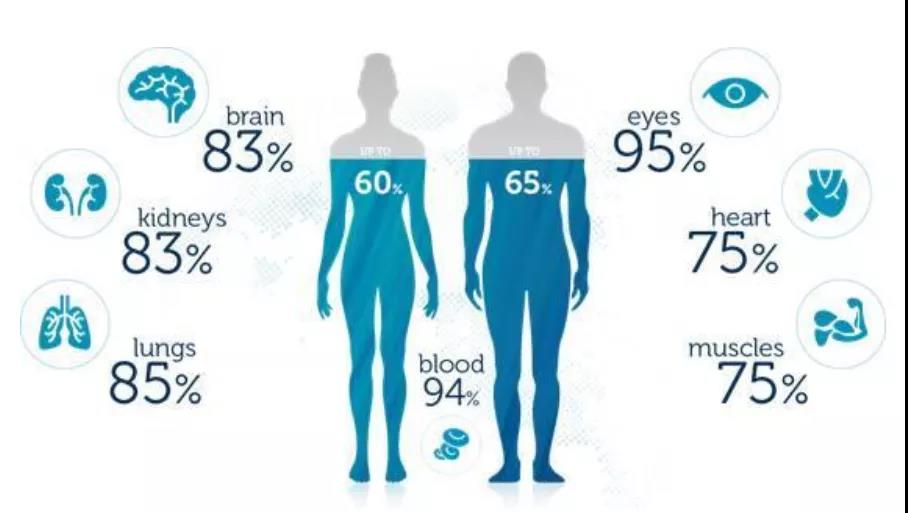你喝水了嗎?你會喝水嗎?我們來聊聊怎樣才是健康喝水!