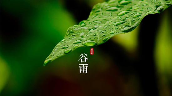 谷雨|喝一杯純凈好水,沐一場人間春色